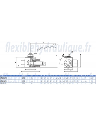 Vanne 3Voies en L 3/8 HP Fiche Technique