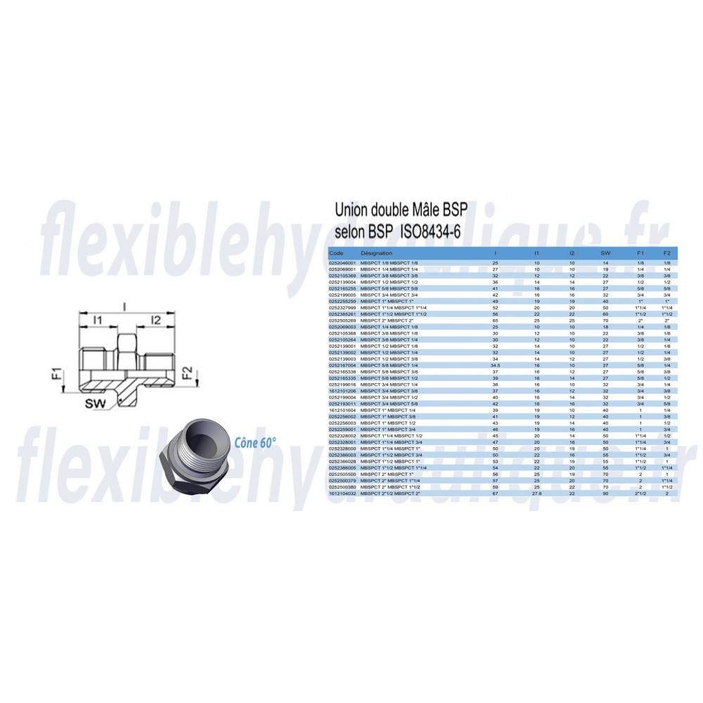 Adapteur Mâle Gaz Cylindrique 1/4x1/8 pour Bague BSFiche Technique